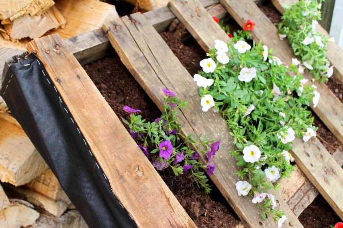 Landscaping fabric doesn't retain much moisture, so be sure to water your plants regularly. (Photo courtesy of Angie Holden/The Country Chic Cottage)
